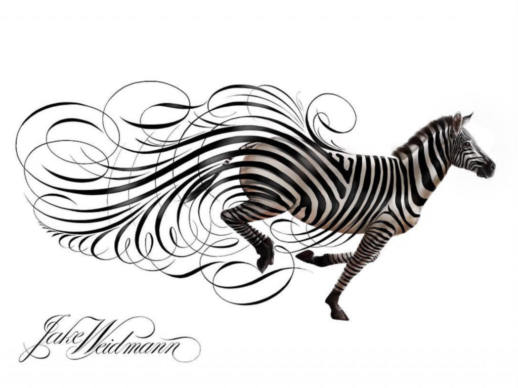 Jake Weidmann Zebra - Lettering Tutorial